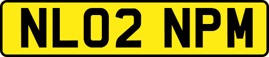 NL02NPM
