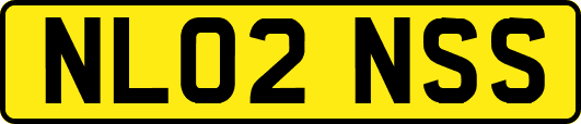 NL02NSS