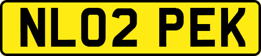 NL02PEK
