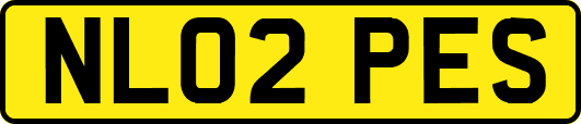NL02PES