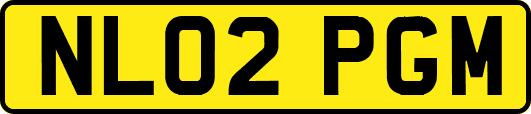 NL02PGM