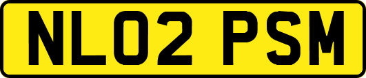 NL02PSM