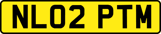 NL02PTM