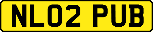 NL02PUB