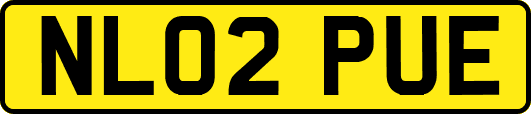 NL02PUE