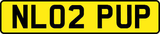 NL02PUP