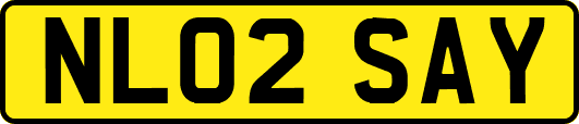 NL02SAY