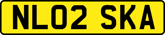 NL02SKA