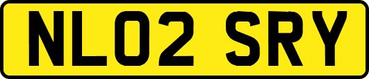 NL02SRY