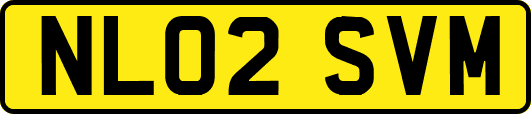 NL02SVM