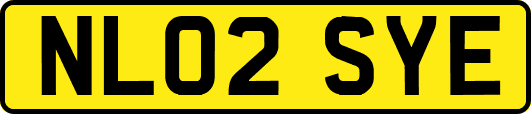 NL02SYE