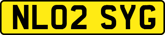 NL02SYG