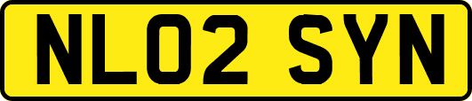 NL02SYN