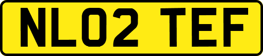 NL02TEF