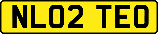 NL02TEO