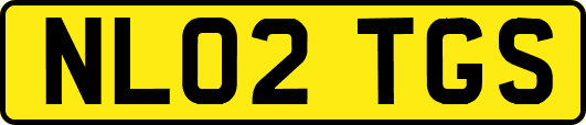 NL02TGS