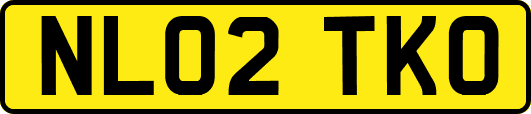 NL02TKO