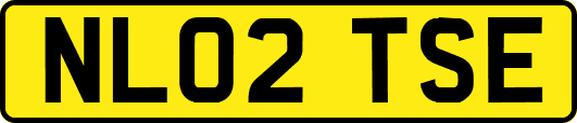 NL02TSE