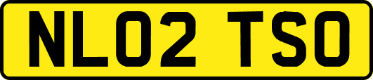 NL02TSO