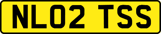 NL02TSS