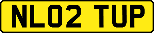 NL02TUP