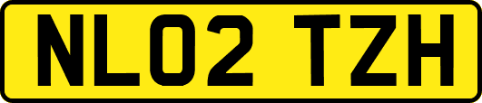 NL02TZH