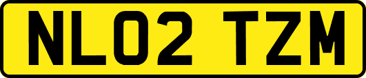 NL02TZM