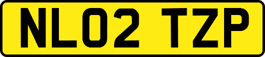 NL02TZP