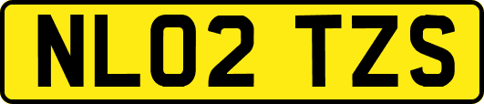 NL02TZS