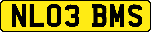 NL03BMS