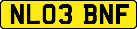 NL03BNF