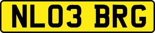 NL03BRG