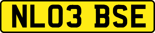 NL03BSE
