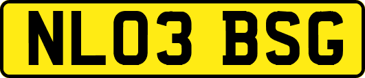 NL03BSG