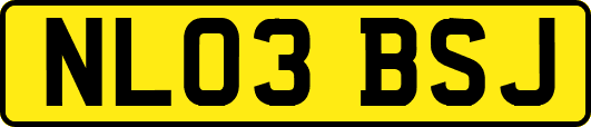 NL03BSJ