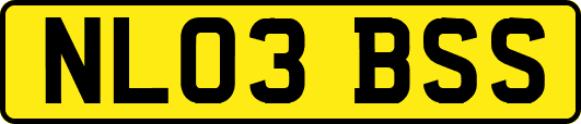 NL03BSS