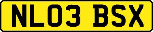 NL03BSX