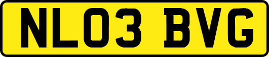 NL03BVG
