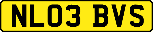 NL03BVS