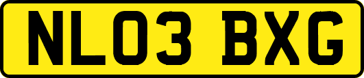NL03BXG