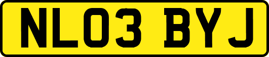 NL03BYJ