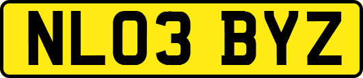 NL03BYZ