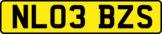 NL03BZS
