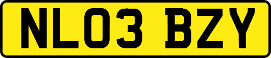 NL03BZY
