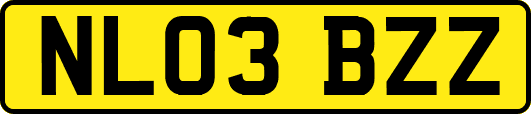 NL03BZZ