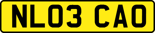 NL03CAO