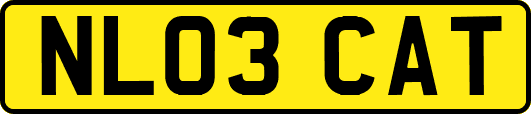 NL03CAT