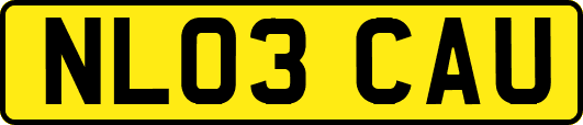 NL03CAU