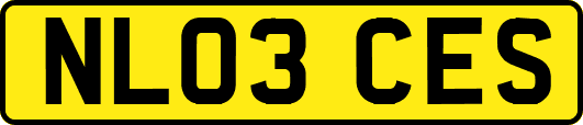 NL03CES