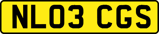 NL03CGS